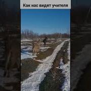 Ура Перемена Тик Ток