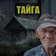 Расказы О Тайге