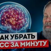 1 5 Минут И Стресс Уйдет Картавенко