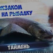 Русская Рыбалка Installsoft Edition 3 7 6 Турнир Западная Монголия Кв Гольян