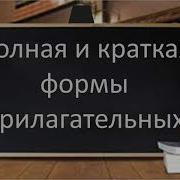 Полные И Краткие Прилагательные 5 Класс