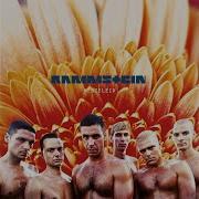 Rammstein Herzeleid