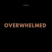 Overwhelmed Viral Djs