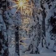 Русская Зима Нина Бродская