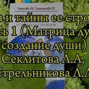 Секлитова Стрельникова Аудиокниги Слушать