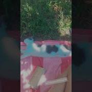 Все Люди Как Люди А Я Всё Хорошею И Хорошею