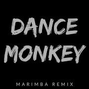 Dance Monkey Tones And I Marimba Ringtone Iphone