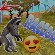 Wild Craft Music Raccoon To Moon