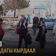 Ак Сайлыктар Менен Көк Таштыктарга Баш Паанек Берилип Жатат