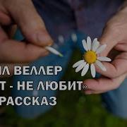 Михаил Веллер Любит Не Любит