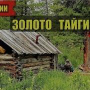 Золото Тайги 2 Часть