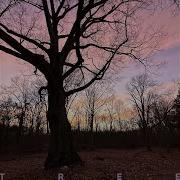 Tree Extended Mix