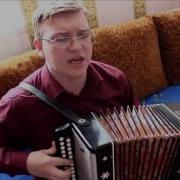 Серые Гуси Вадим Будылин Башмаково