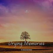 Taoufik Drying Memories