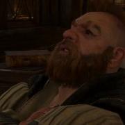Witcher 3 Сова Золтана