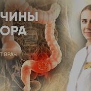 Запоры Частые Причины