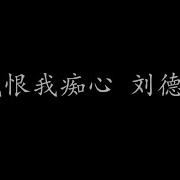 刘德华 我恨我痴心 动态歌词