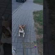 Ну Чё Ты Срать Будешь