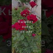 Биз Болдук Чон Эне Жана Дагы Тайэне