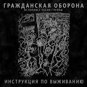 Гражданская Оборона Инструкция По Выживанию
