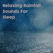 Rainfall For Sleep With Drone