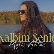 Kalbim Senle