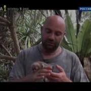 Рейтинг Баженова Война Миров Планета Обезьян 10