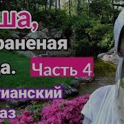 Душа Как Раненая Птица Христианский Рассказ