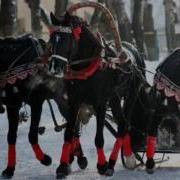 Хуторок Сыпал Снег Буланому Под Ноги