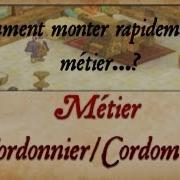 Dofus Comment Monter Rapidement Son Métier Cordonnier Cordomage