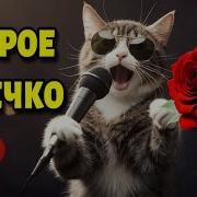 С Добрым Утром С Новым Днём Красивая Музыкальная Открытка Пожелания