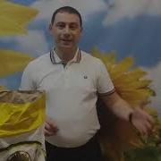 Кукуруза Дн Днипро Фао 300 Для Степи Засухоустойчивая Кукуруза Днипро