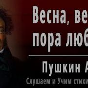 Стихотворение А С Пушкин Весна Весна Пора Любви Стихи Русских Поэтов Аудио Стихи Онлайн