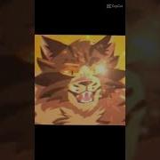 Коты Воители Которых Я Ненавижу
