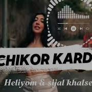 Ту Бо Дилам Чи Карди