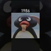 Evolution Of Pingu Shorts