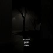 Скажи Мне Что Ты Хочешь И Я Приеду Раньше