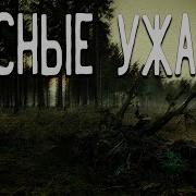 Страшные Истории Про Лес И Тайгу
