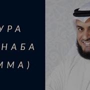 Сура Аль Наба