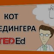 Кот Шрёдингера