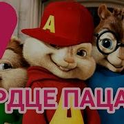 Бурундуки Сердце Пацана
