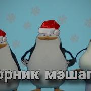 Пингвины Мешапы