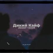 Дикий Кайф Slowed