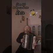 Rasa Ты Пчела Я Пчеловод На Аккордеоне Баянист Гармонист