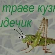 В Траве Кузнел Сидечик