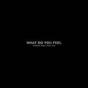 What Do You Feel Feat Yung Van