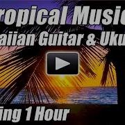 Tropical Music Hawaiian Guitar Relaxing Ukulele Acoustic Songs Hawaii Relax Studying Hour Playlist