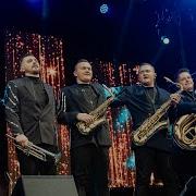 Дикоbrass