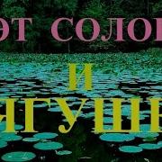 Сказочный Соловей И Хор Лягушек Live Nightingale Frogs Singing