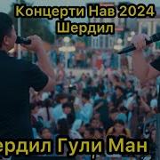 Шердил 2024